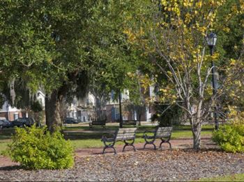 Community garden and parks